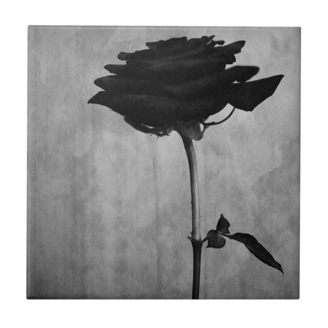 Carreau Rose noir gothique (Devant)