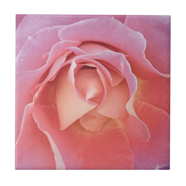 Carreau Rose rose lustre (Devant)