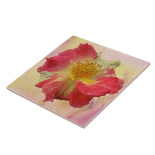 Carreau Rose rouge et blanche