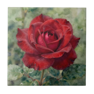 Carreau Rose Rouge Profonde Romantique en Fleur