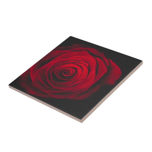 Carreau Rose rouge sur fond noir effet vintage (Côté)