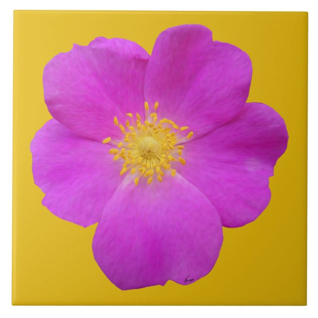 Carreau Rose sauvage 2 (Devant)