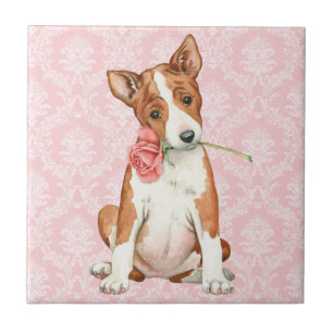 Carreau Rose Valentin Basenji