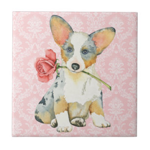 Carreau Rose Valentin Cardigan Welsh Corgi