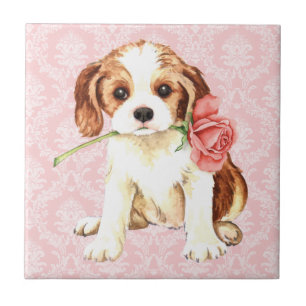 Carreau Rose Valentine Cavalier