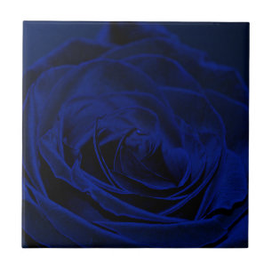 Carreau Rose Velvet bleu.jpg