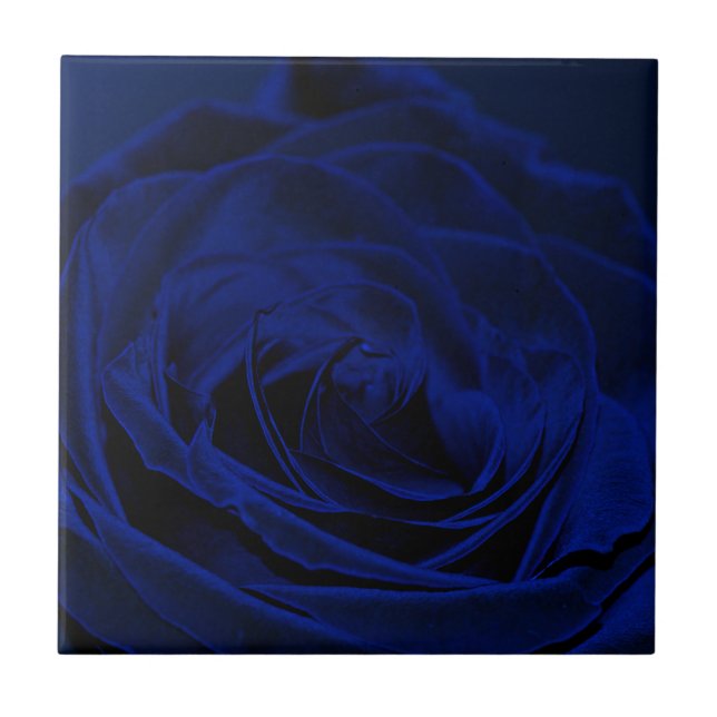 Carreau Rose Velvet bleu.jpg (Devant)