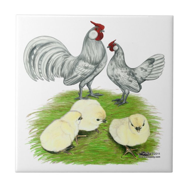 Carreau Rosecomb Bantams et Chicks (Devant)