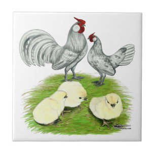 Carreau Rosecomb naine et poussins
