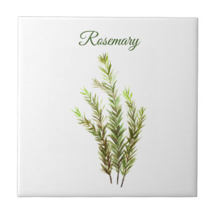 Carreau Rosemary Herb Greenery Cuisine culinaire Vert chic