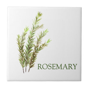 Carreau Rosemary Herbs Green Cuisine Vintage verte