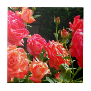 Carreau Roses de corail romantique