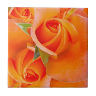 Carreau Roses orange par Alexandra Cook