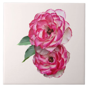 Carreau Roses roses et blanches