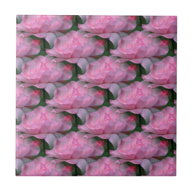 Carreau Roses roses roses Florales Art Nature Carrelage (Devant)