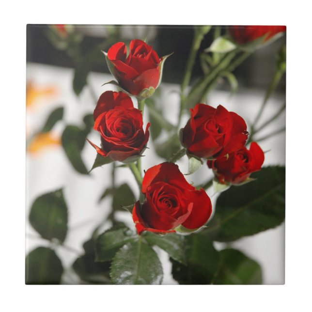 Carreau Roses rouges (Devant)