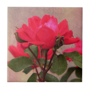 Carreau Roses rouges