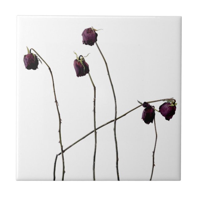 Carreau Roses rouges (Devant)