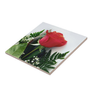 Carreau Roses rouges