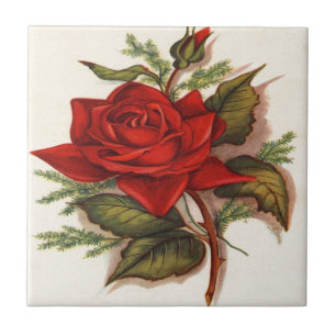 Carreau Roses rouges