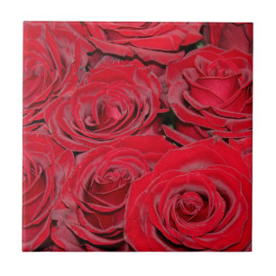 Carreau Roses Rouges Vibrantes 