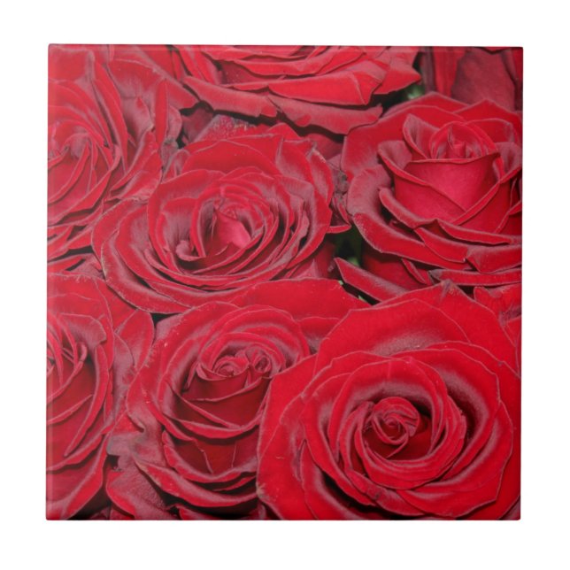 Carreau Roses Rouges Vibrantes  (Devant)