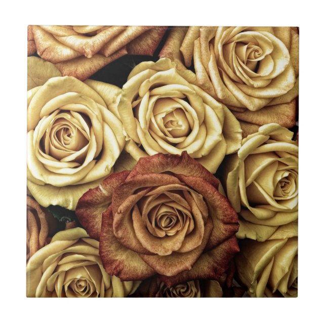 Carreau Roses sépia délavées (Devant)