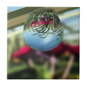 Carreau Roses sur Raindrops Carrelage décoratif