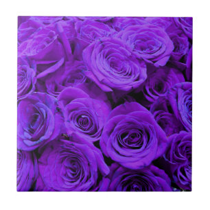 Carreau roses violet romantique, joli bouquet de rose