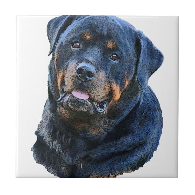 Carreau Rottweiler (Devant)