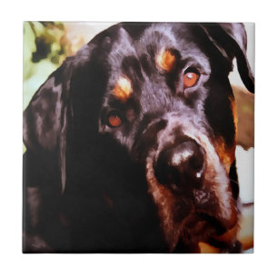 Carreau Rottweiler Artistic Pet