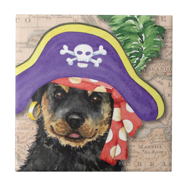 Carreau Rottweiler Pirate (Devant)