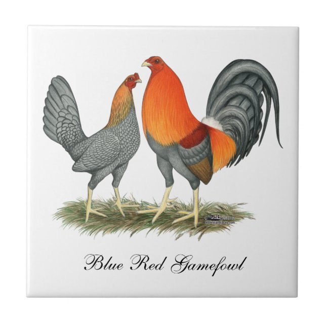Carreau Rouge bleu Gamefowl (Devant)