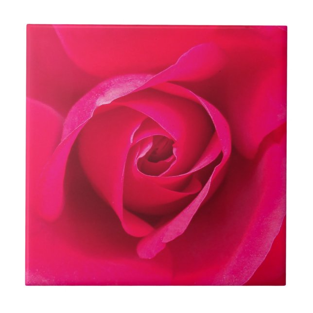 Carreau Rouge romantique Rose rose v2 (Devant)