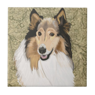 Carreau Rough Collie Portrait