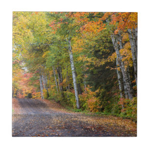 Carreau Route de gravier jonchée de feuilles avec des coul