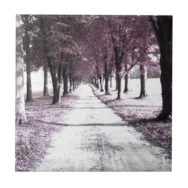 Carreau route rose de Forrest Gump (Devant)