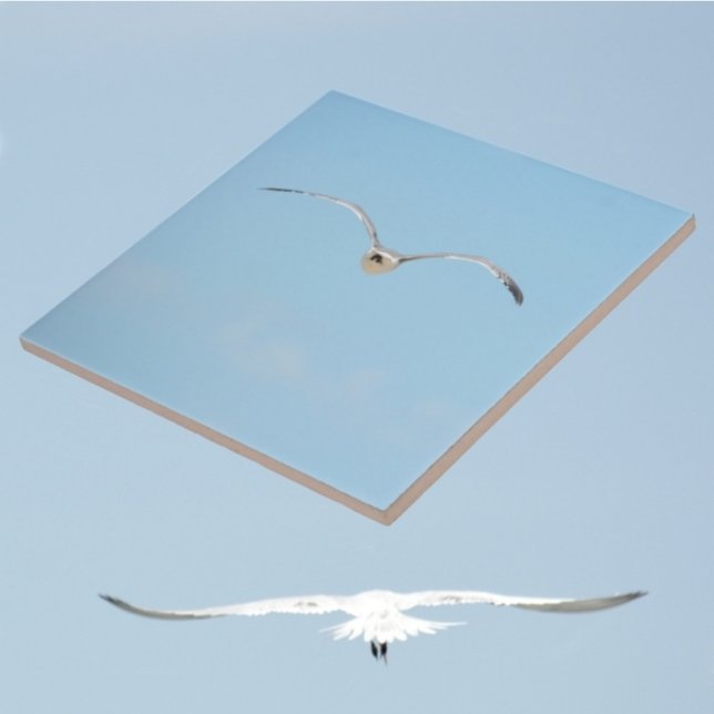 Carreau Royal Tern en vol Côte Sky Blue (1 of 7 coordinating coastal sky blue ceramic tiles with Royal Terns in flight)