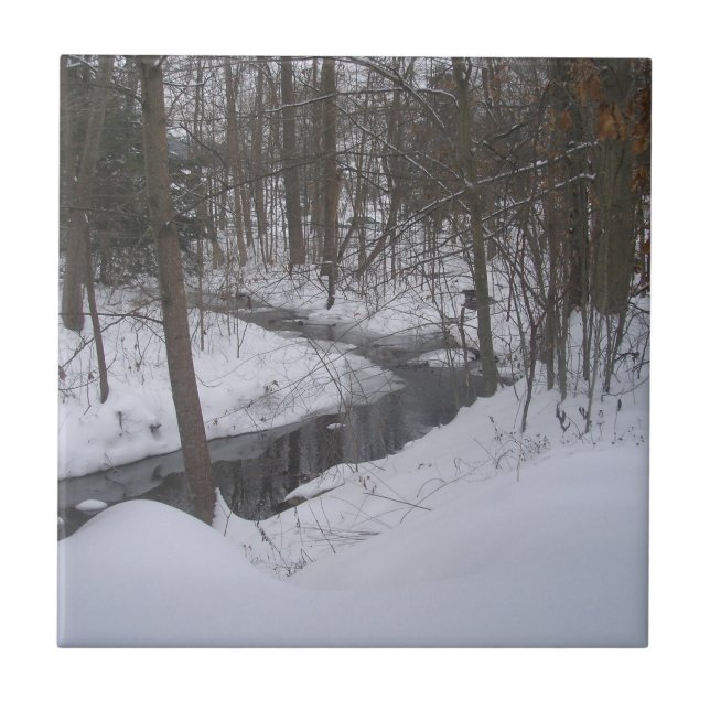 Carreau "Ruban d'hiver" (Devant)