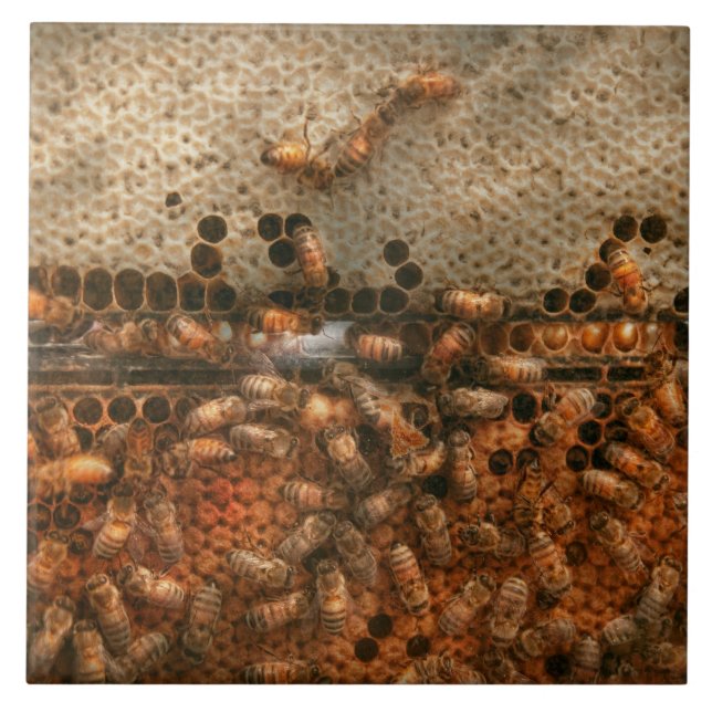 Carreau Rucher - Abeilles - Douce réussite (Devant)