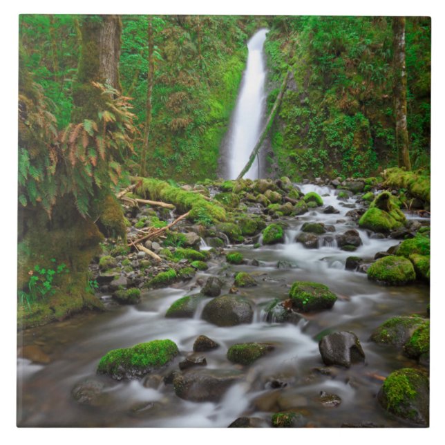 Carreau Ruckel Creek Falls, Gorge du Columbia Oregon (Devant)