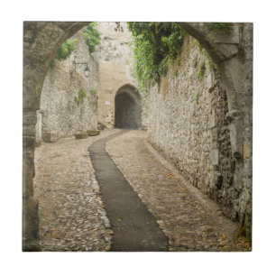 Carreau Rue en pavés gris, France