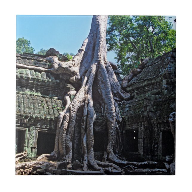 Carreau Ruine de Ta Prohm - Angkor Wat, Cambodge, Asie (Devant)