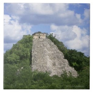 Carreau Ruines maya de Coba, péninsule du Yucatan, Mexiqu