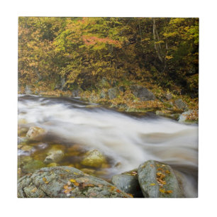 Carreau Ruisseau Rugissant en automne dans les Montagnes V