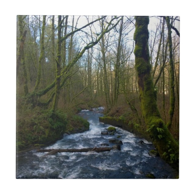 Carreau Runoff from Bridal Veil Falls (Devant)