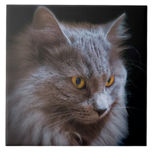 Carreau Russie bleu gris Nebelung Chat mur Art