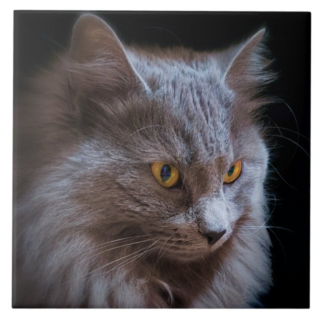 Carreau Russie bleu gris Nebelung Chat mur Art (Devant)
