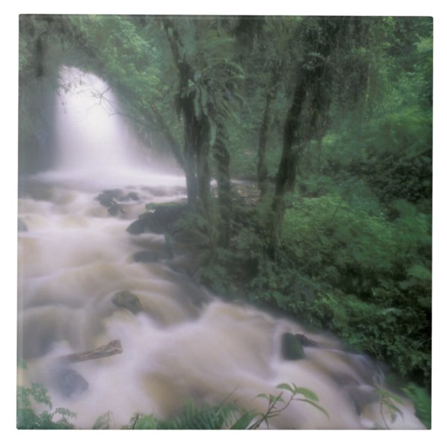 Carreau SA, Pérou, S.H. Machu Picchu, Cascade et nuage (Devant)