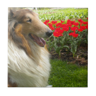 Carreau Sable Collie N Tulips Tile Trivet